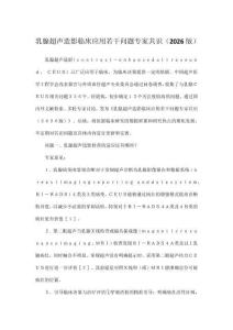 乳腺超聲造影臨床應用若干問題專家共識（2026版）