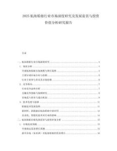 2025航海船舶行業市場深度研究及發展前景與投資價值分析研究報告