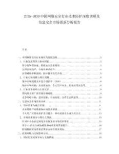 2025-2030中國網絡安全行業技術防護深度調研及信息安全市場需求分析報告
