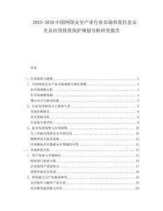 2025-2030中國網絡安全產業行業市場供需信息安全及應用投資保護規劃分析研究報告