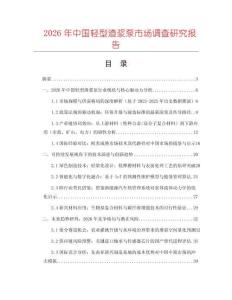 2026年中國輕型渣漿泵市場調(diào)查研究報告