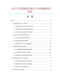 2026年中國振弦式滲壓計市場調查研究報告