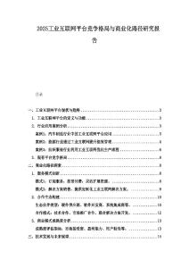2025工業互聯網平臺競爭格局與商業化路徑研究報告