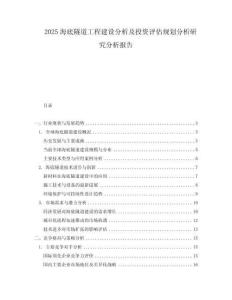 2025海底隧道工程建設分析及投資評估規(guī)劃分析研究分析報告
