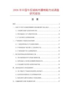 2026年中國牛反絨帆布腰棉鞋市場調(diào)查研究報(bào)告