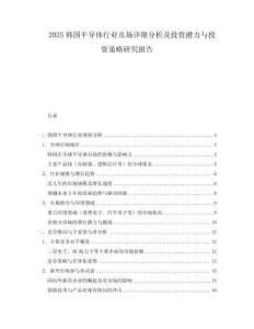2025韓國半導體行業市場詳細分析及投資潛力與投資策略研究報告