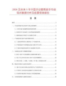2026及未來5年中國手動套筒扳手市場現(xiàn)狀數(shù)據(jù)分析及前景預(yù)測報告