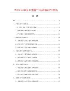 2026年中國H型管市場調(diào)查研究報(bào)告