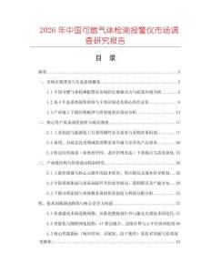 2026年中國可燃氣體檢測報警儀市場調查研究報告