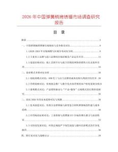 2026年中國(guó)彈簧柄拷銹錘市場(chǎng)調(diào)查研究報(bào)告