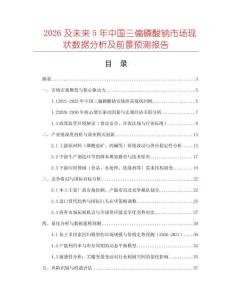 2026及未來5年中國三偏磷酸鈉市場現(xiàn)狀數(shù)據(jù)分析及前景預(yù)測報告