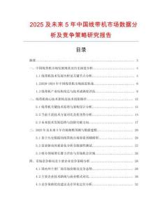 2025及未來5年中國線帶機市場數(shù)據(jù)分析及競爭策略研究報告
