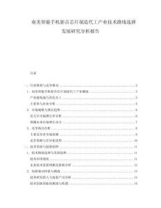 南美智能手機(jī)影音芯片制造代工產(chǎn)業(yè)技術(shù)路線選擇發(fā)展研究分析報(bào)告