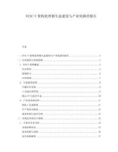 RISC-V架構(gòu)處理器生態(tài)建設(shè)與產(chǎn)業(yè)化路徑報告