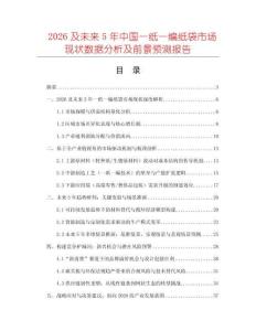2026及未來5年中國一紙一編紙袋市場現(xiàn)狀數(shù)據(jù)分析及前景預(yù)測報(bào)告