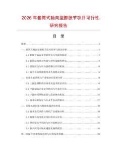 2026年套筒式軸向型膨脹節(jié)項(xiàng)目可行性研究報(bào)告