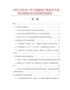 2026及未來(lái)5年中國(guó)直柄六角扳手市場(chǎng)現(xiàn)狀數(shù)據(jù)分析及前景預(yù)測(cè)報(bào)告