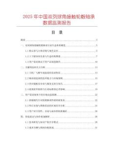 2025年中國雙列球角接觸輪轂軸承數(shù)據(jù)監(jiān)測報告