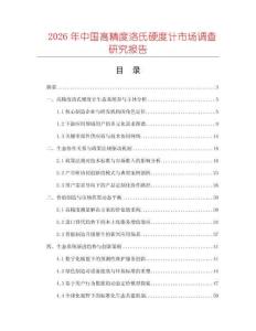 2026年中國高精度洛氏硬度計市場調查研究報告