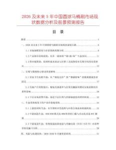 2026及未來5年中國圓球馬桶刷市場現(xiàn)狀數(shù)據(jù)分析及前景預(yù)測報告