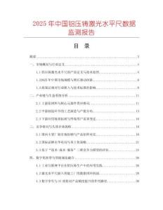2025年中國鋁壓鑄激光水平尺數(shù)據(jù)監(jiān)測報告