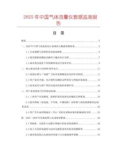 2025年中國氣體流量儀數據監測報告
