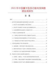 2025年中國豪華型多功能電飯鍋數(shù)據(jù)監(jiān)測報告