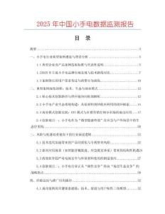 2025年中國小手電數(shù)據(jù)監(jiān)測(cè)報(bào)告