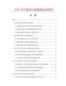 2025年中國戰(zhàn)斗靴數(shù)據(jù)監(jiān)測報告