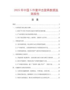 2025年中國5件套沖擊旋具數(shù)據(jù)監(jiān)測報告