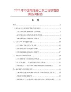 2025年中國剛性接口灰口鑄鐵管數據監測報告
