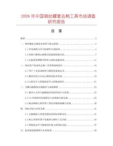 2026年中國(guó)鋼絲螺套去柄工具市場(chǎng)調(diào)查研究報(bào)告