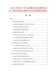 2026及未來5年中國德式加長塑柄斜邊木工鑿市場(chǎng)現(xiàn)狀數(shù)據(jù)分析及前景預(yù)測(cè)報(bào)告