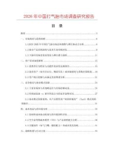 2026年中國(guó)打氣胎市場(chǎng)調(diào)查研究報(bào)告