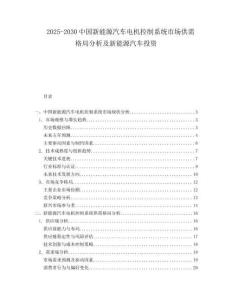 2025-2030中國(guó)新能源汽車電機(jī)控制系統(tǒng)市場(chǎng)供需格局分析及新能源汽車投資