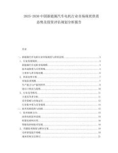 2025-2030中國(guó)新能源汽車電機(jī)行業(yè)市場(chǎng)現(xiàn)狀供需態(tài)勢(shì)及投資評(píng)估規(guī)劃分析報(bào)告