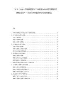 2025-2030中國(guó)新能源汽車電機(jī)行業(yè)市場(chǎng)發(fā)展供需分析及汽車零部件企業(yè)投資布局規(guī)劃報(bào)告