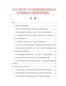 2026及未來5年中國排檔鎖扣拉線市場現狀數據分析及前景預測報告
