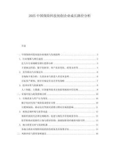2025中國保險科技初創企業成長路徑分析