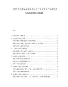2025中國椰油基芐基溴化銨行業安全生產標準提升與風險管理體系構建