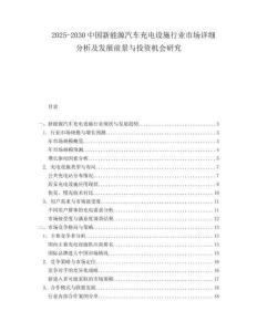 2025-2030中國新能源汽車充電設施行業市場詳細分析及發展前景與投資機會研究