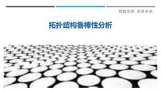 拓撲結構魯棒性分析