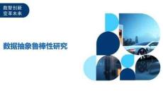 數(shù)據(jù)抽象魯棒性研究