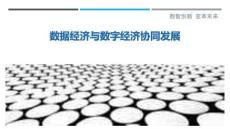 數(shù)據(jù)經(jīng)濟與數(shù)字經(jīng)濟協(xié)同發(fā)展