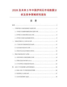 2026及未來5年中國(guó)伊利石市場(chǎng)數(shù)據(jù)分析及競(jìng)爭(zhēng)策略研究報(bào)告