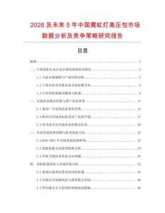 2026及未來5年中國霓虹燈高壓包市場數據分析及競爭策略研究報告