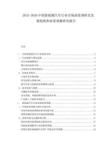 2025-2030中国新能源汽车行业市场深度调研及发展趋势和前景预测研究报告
