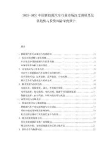2025-2030中国新能源汽车行业市场深度调研及发展趋势与投资风险深度报告