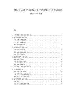 2025至2030中國硅膠耳塞行業(yè)深度研究及發(fā)展前景投資評估分析