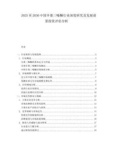 2025至2030中國辛基三嗪酮行業深度研究及發展前景投資評估分析